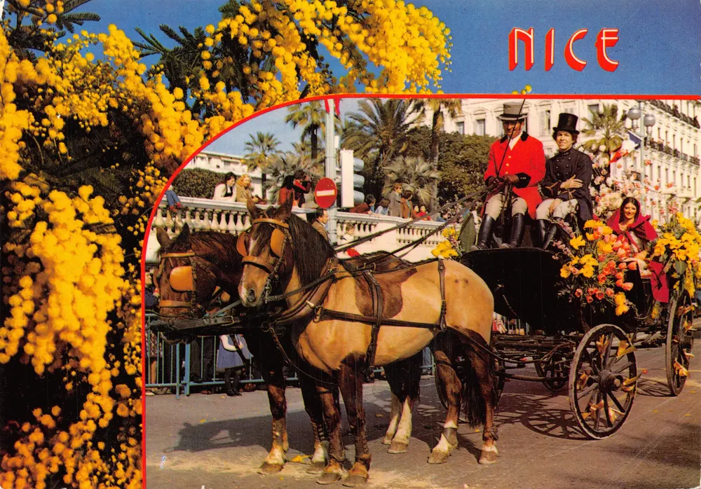 Nice — Kutsche mit Pferden unter Mimosenblüten — Éditions AZUR RIVIERA - Vorderseite
