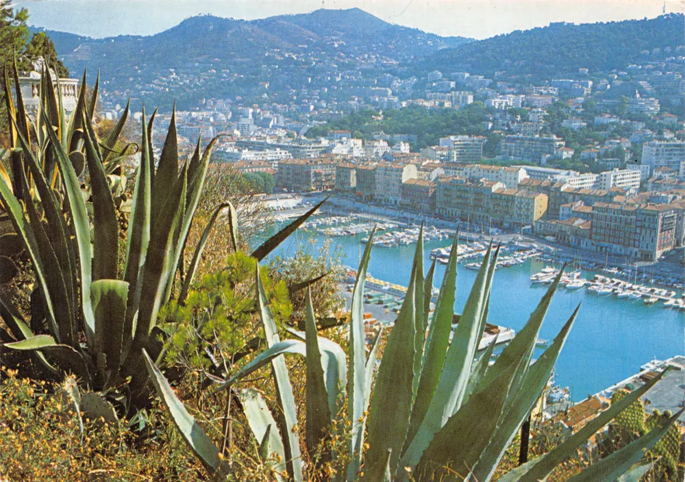 Vue générale sur le port de plaisance — Nice (Alpes-Maritimes) — PRESSE DIFFUSION SAM - Recto