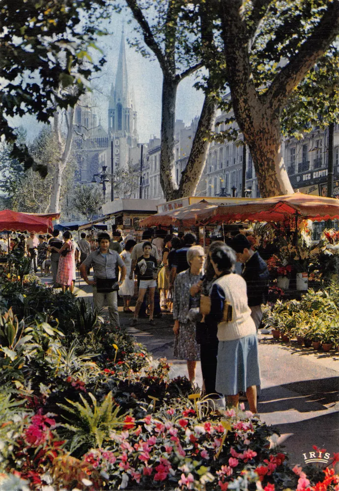 Mercado de flores — Praça da República em Marselha — editor IRIS - Frente