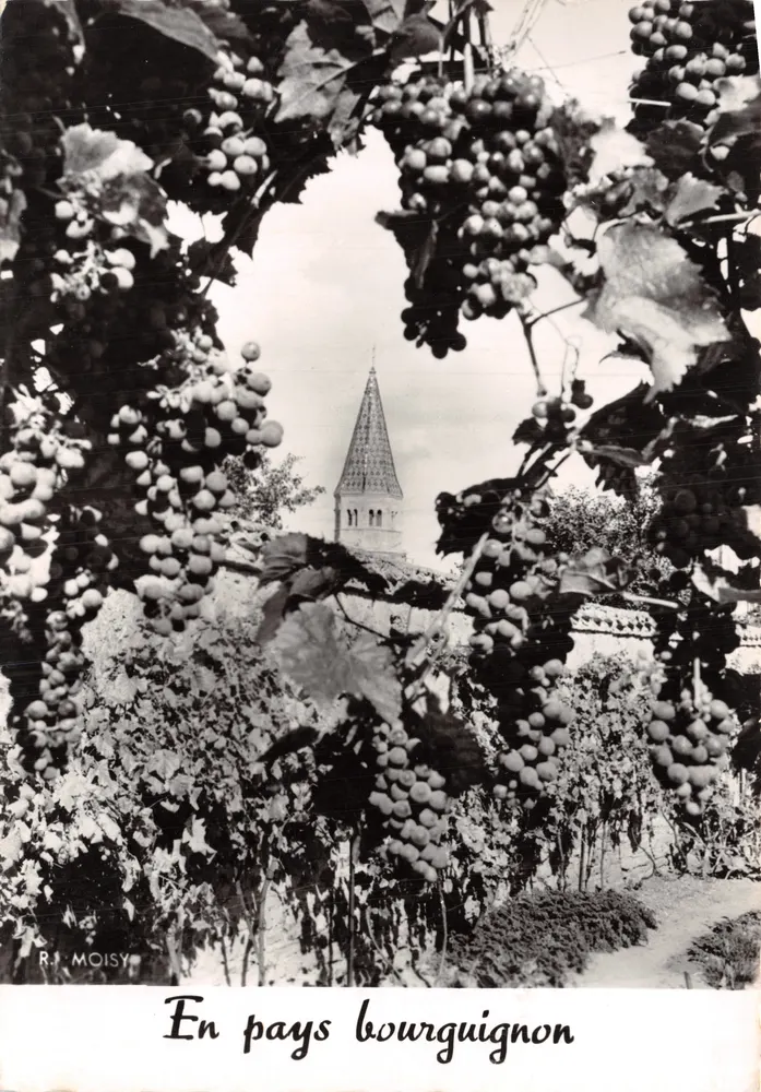 Weine — gerahmte Ansicht von Traubenklumpen mit Kirchturm im Hintergrund — R. MOISY - Vorderseite