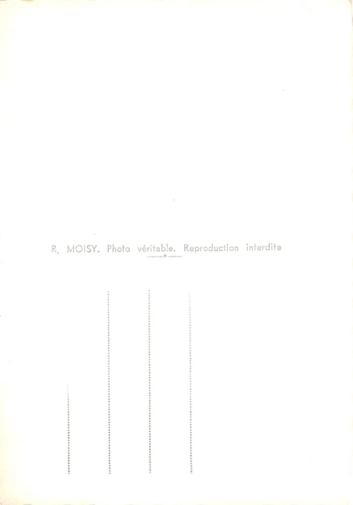 Weine — gerahmte Ansicht von Traubenklumpen mit Kirchturm im Hintergrund — R. MOISY - Rückseite