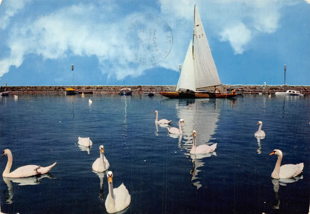 Schwanen und Segelboot am Hafen — Editions Jansol, n° EY 268 - Vorderseite