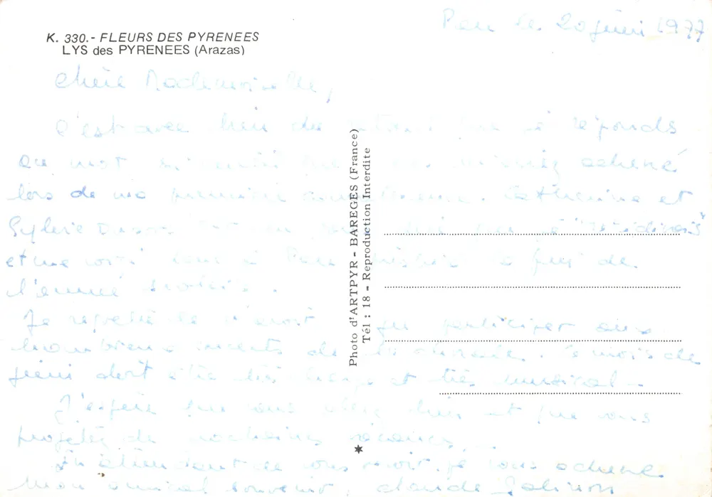 Lilien der Pyrenäen — gelbe Blüten in Blüte — Verlag ARTPYR, Nr. 18 - Rückseite
