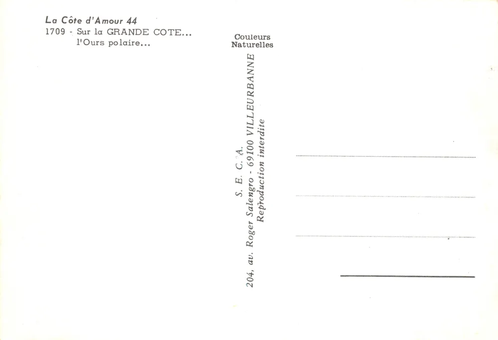 Côte d'Amour — rocher L'Ours polaire — éditeur S.E.C.A. n° 44 - Verso