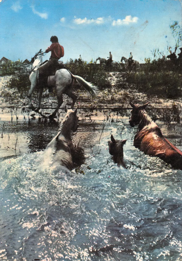 A Camargue — Passagem de um gué — Les Éditions « MAH » - Frente