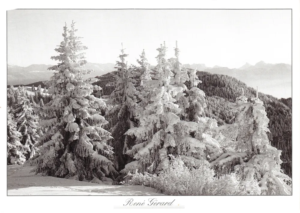 Paysage enneigé — forêt de sapins sous la neige — René Gerard - Recto