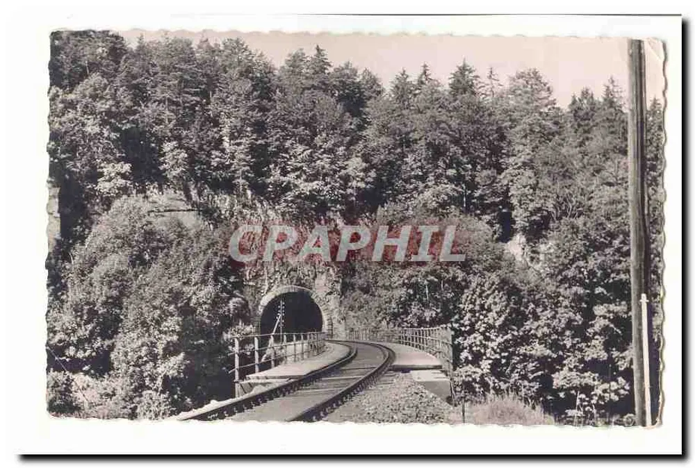 Eisenbahn-Tunnel — Ansicht im Wald - Vorderseite