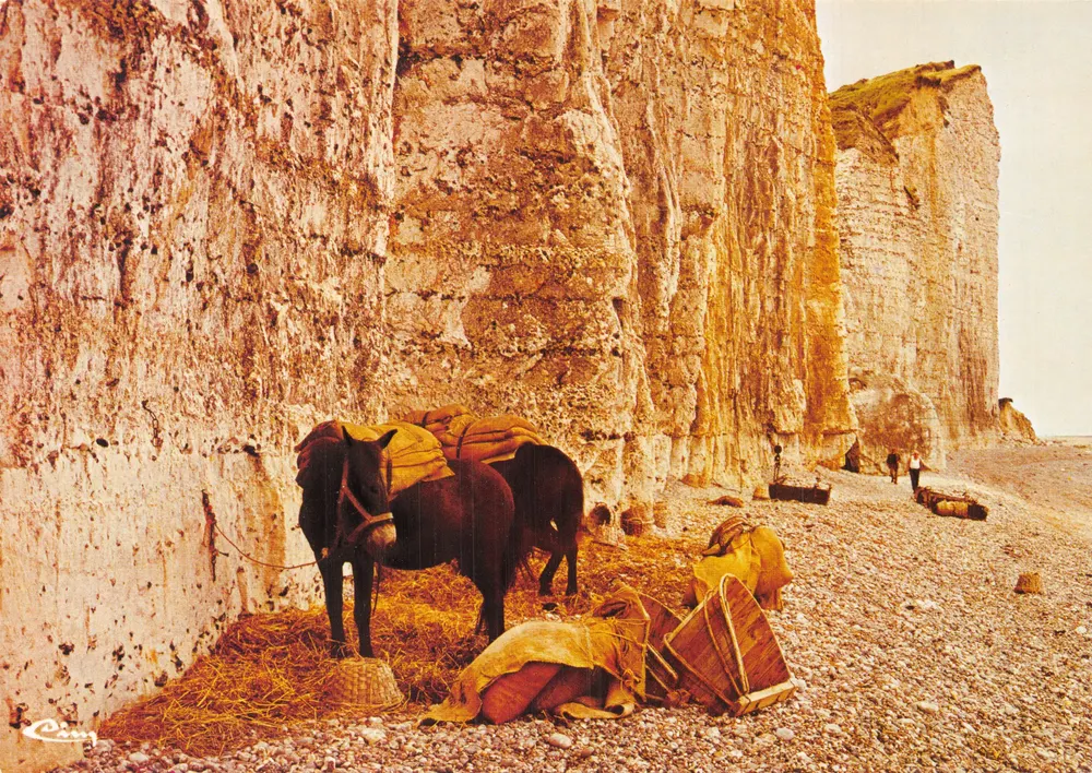 Cliffs of Etretat — chevaux et ballots sur la plage — Cim - Recto