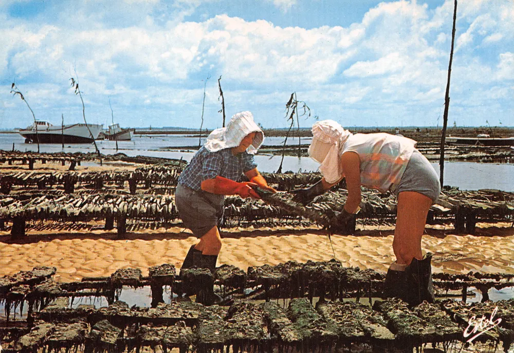 Atlantikküste — Muschelfischerinnen beim Arbeiten — Verlag ESTEL - Vorderseite