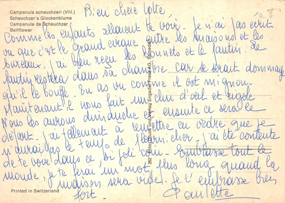 Bellflower of Scheuchzer — blaue Blüten in natürlicher Umgebung — Verlag Engadit Press AG, Nr. 262 - Rückseite