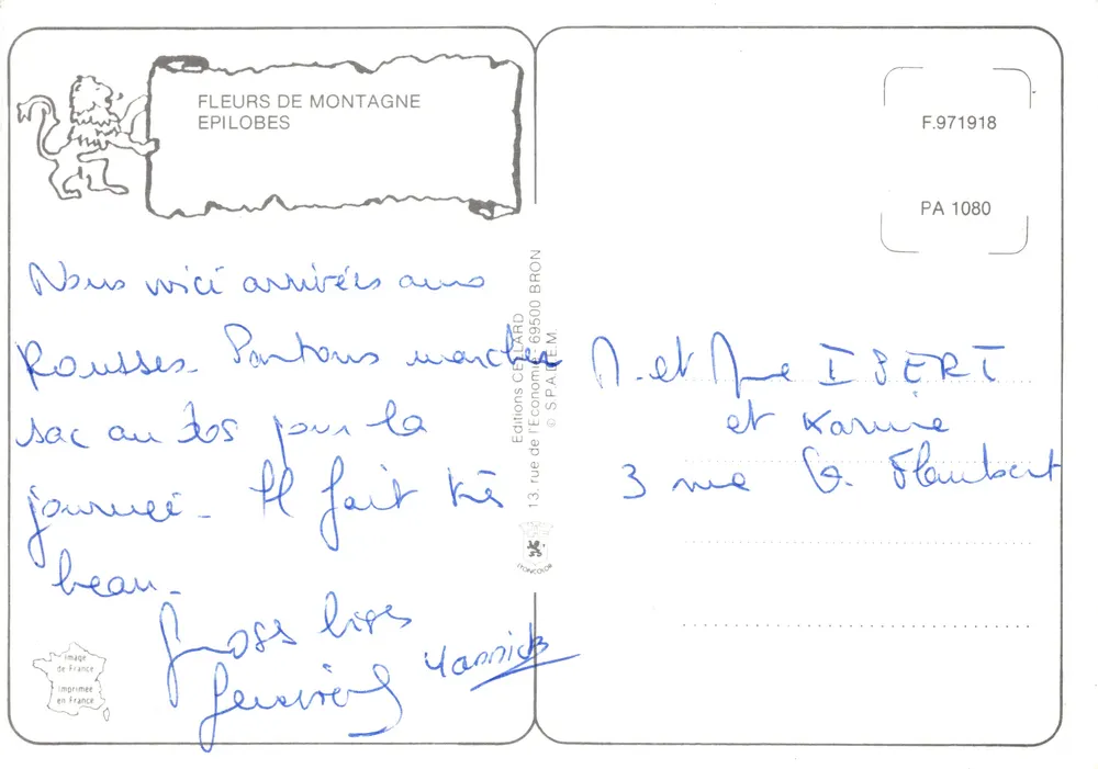 Epilobum — kwiat górski w pełnym kwitnieniu — Wydawnictwo CEBARD - Rewers