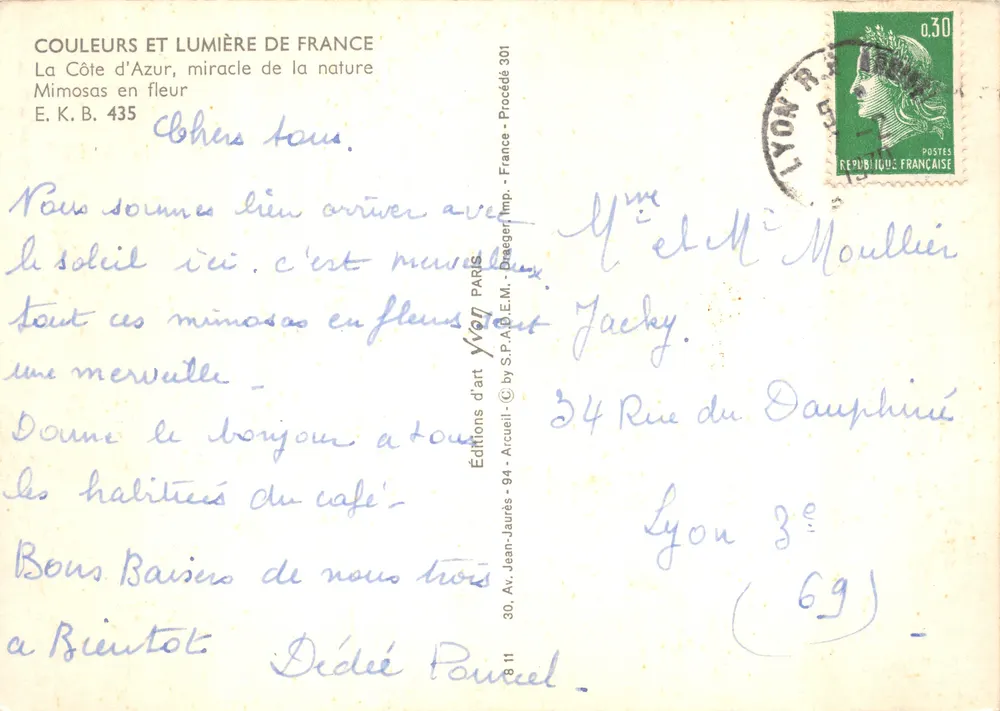 Mimosas en fleur — La Côte d'Azur, éditeur E.K.B. 435 - Verso