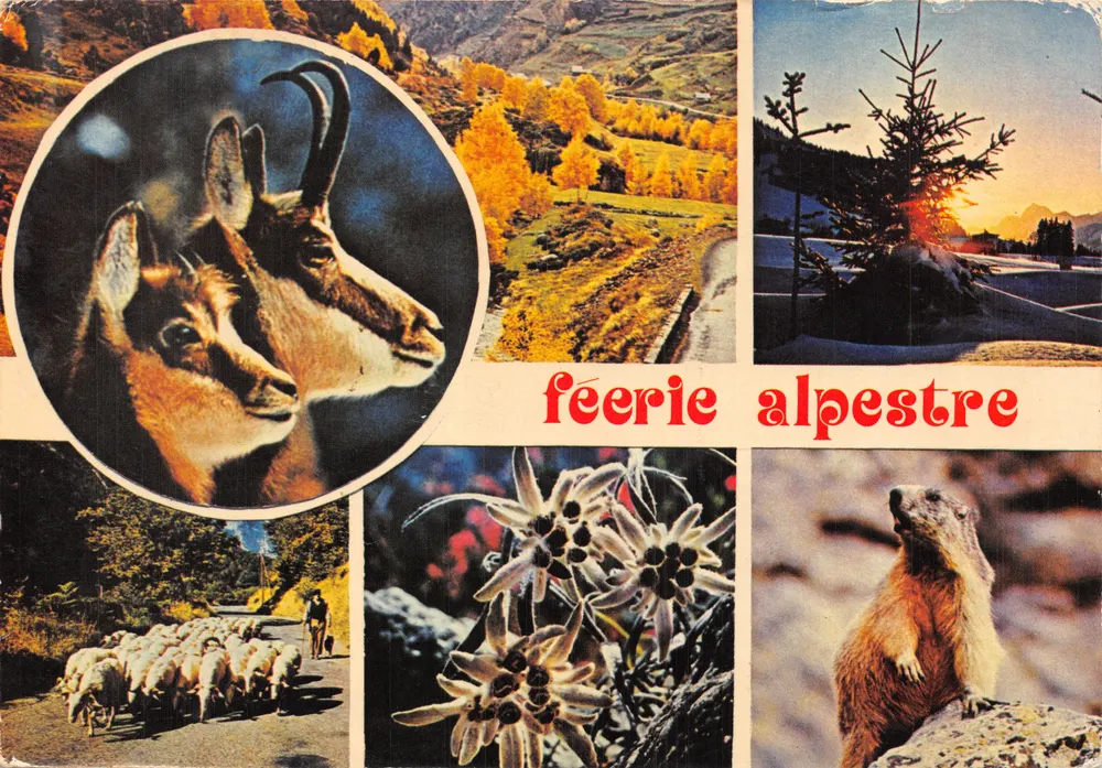 Les Alpes — Feérie Alpestre — Les Éditions Mar - Recto