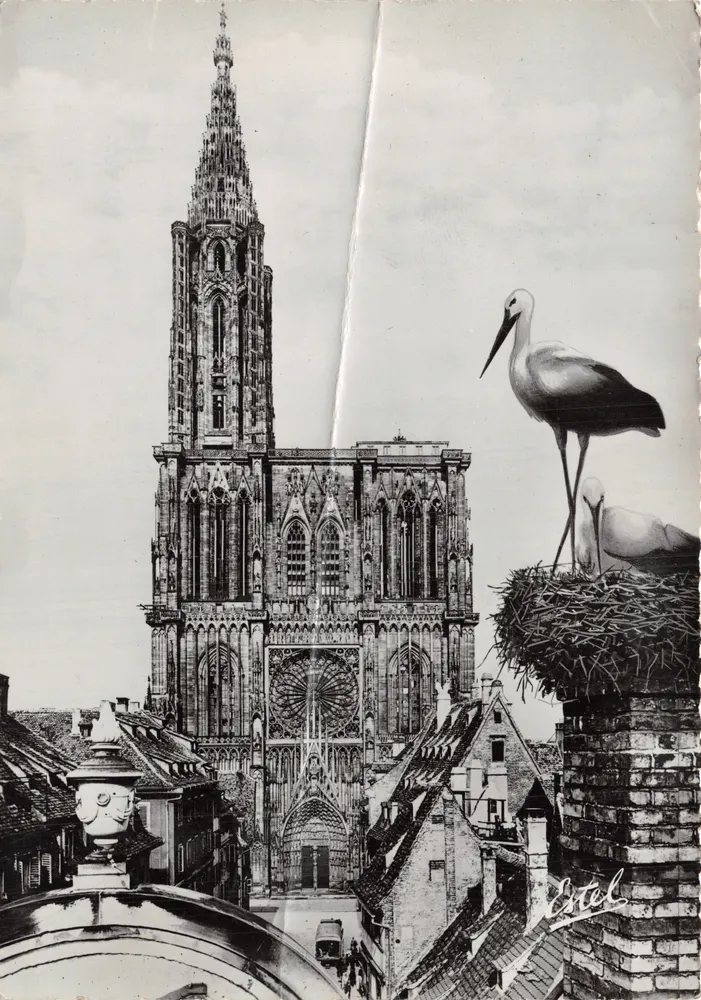 Strasbourg — Cathédrale Notre-Dame — éditeur Estel - 表面