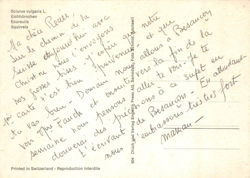 Trois écureuils roux — scène sur branche d'érable — éditeur Engaduin Press AG, n° 604 - 뒷면