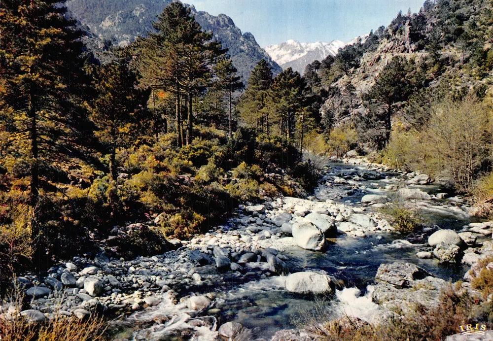 La Restonica — Vallée encaissée avec ruisseau et montagnes enneigées — éditeur IRIS - Recto