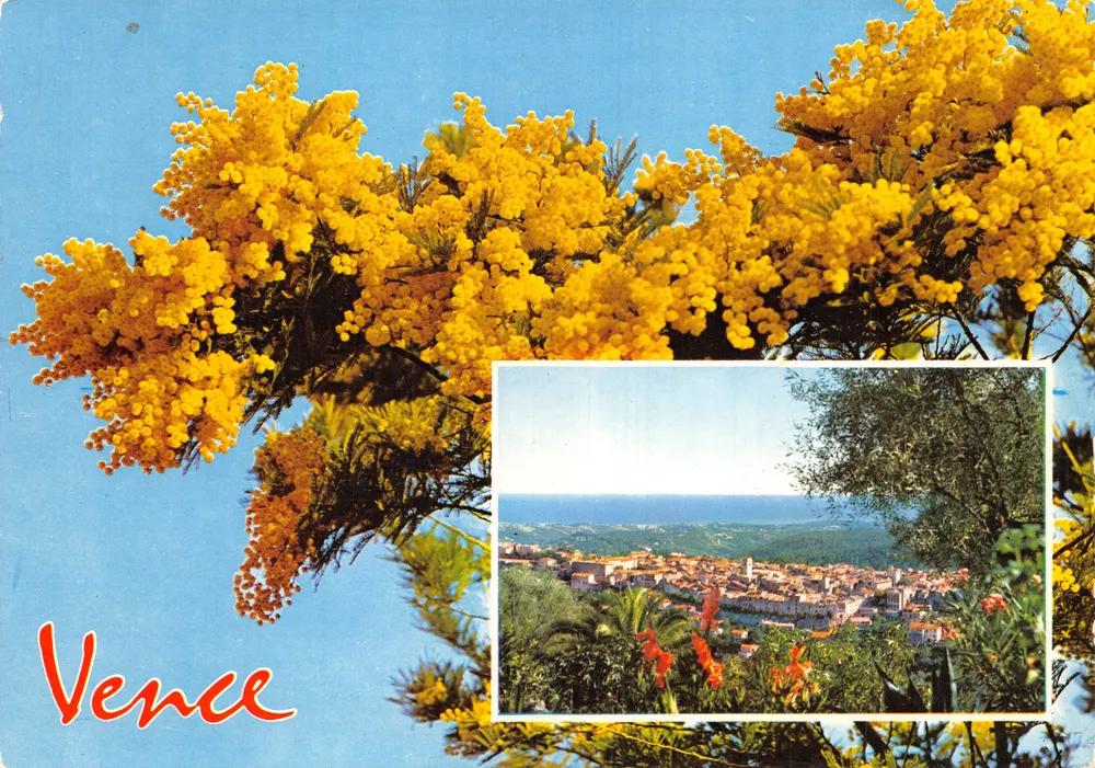 Vence — Panoramablick und Mimosenblüten — Editions GILLETIA - Vorderseite