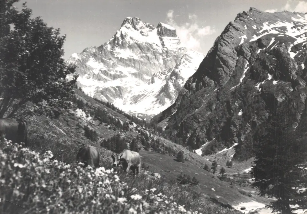 Le Mont Viso — Le Queyras — Éditions Pierre Tairraz Chamonix, n°10 - Recto