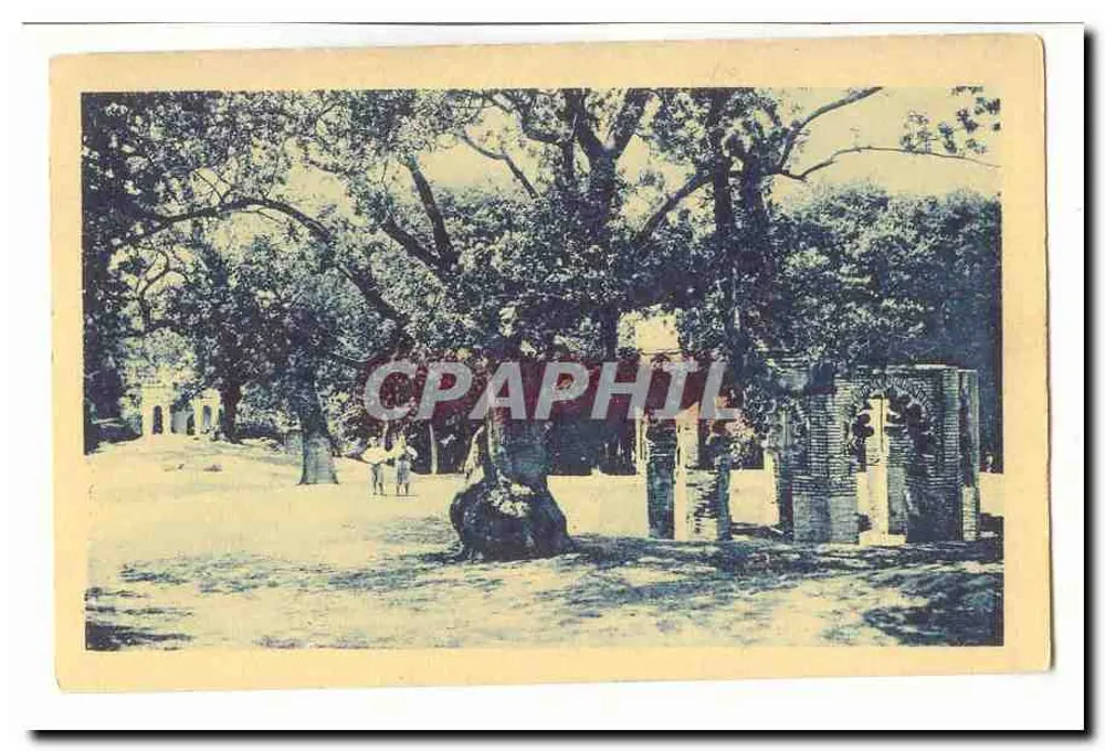 Jardim da villa da Rainha — Ruínas e árvores — Editor não identificado - Frente