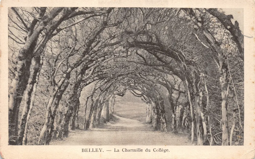 Belley — Die Charmille des Colleges — Librairie Montbarbon, Belley - Vorderseite