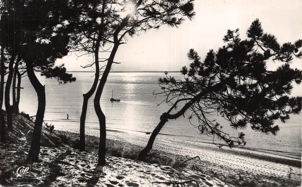 Bassin d'Arcachon — Sonnenuntergang — Real Photo, n°163 - Vorderseite