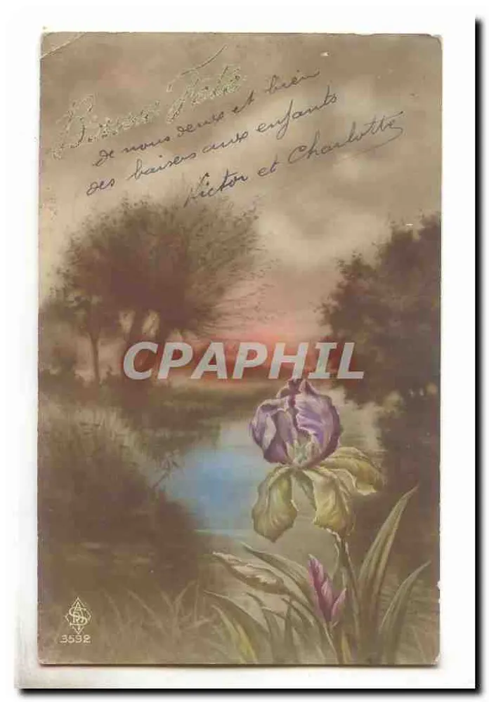 Iris am Rand eines Sees — Verlag VV Nr. 3592 - Vorderseite
