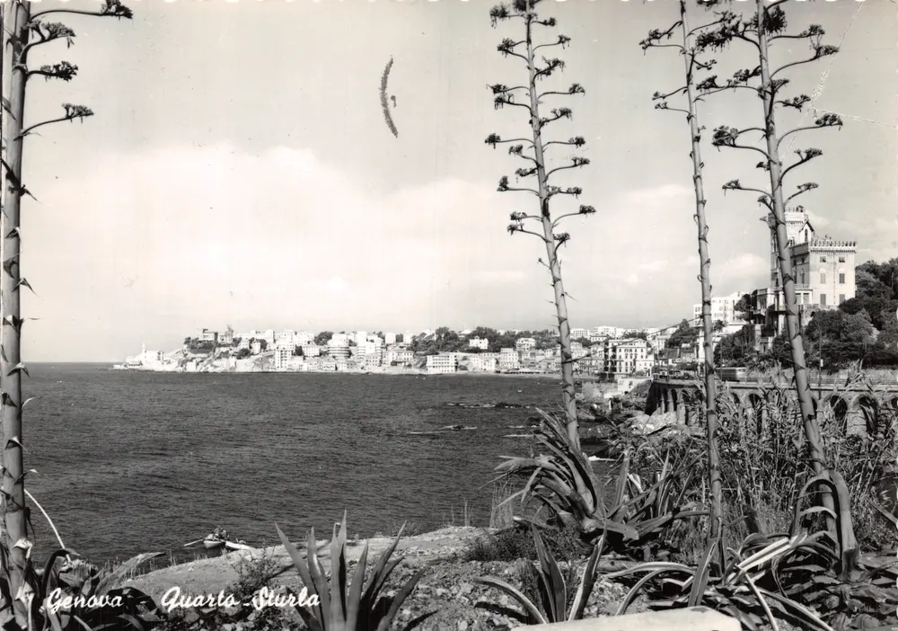 Ansicht von Genua - Quarto Sturla — Verlag VERA FOTOGRAFIA, Nr. 667 - Vorderseite