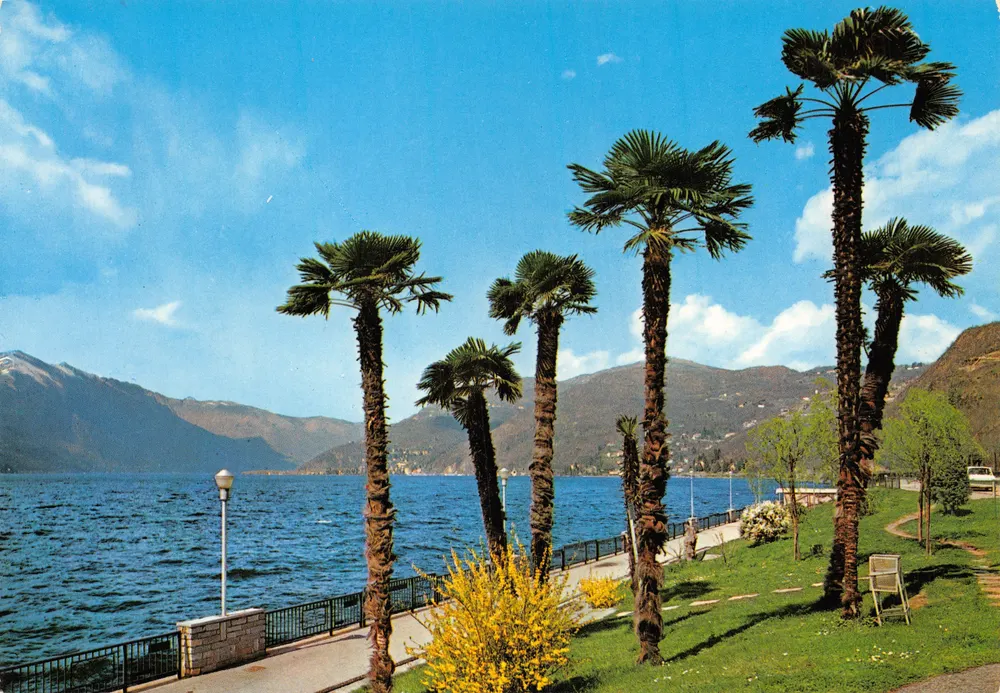 Lago Maggiore — Öffentliche Gärten in Luino — Verleger Milano Dep - Vorderseite