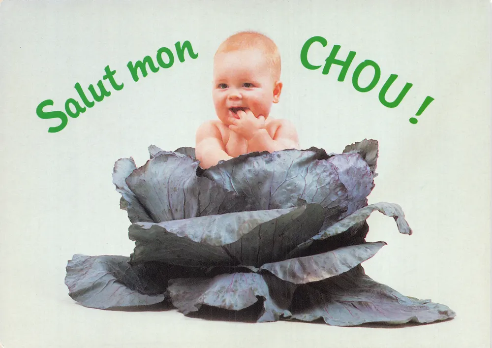 Baby in einer Kohlköpfe — Verlag Fotoline, Seriennummer 40038 - Vorderseite
