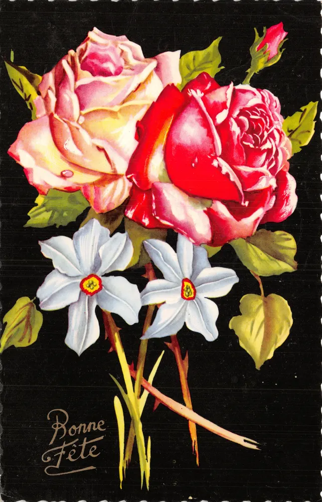 Bouquet aus Rosen und Hyazinthen — Verlag JC gedruckt auf der Rückseite - Vorderseite