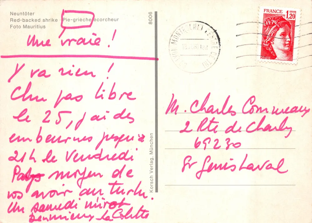 Vogel auf einem Ast — Grünspecht — Korsch Verlag, n°8006 - Rückseite