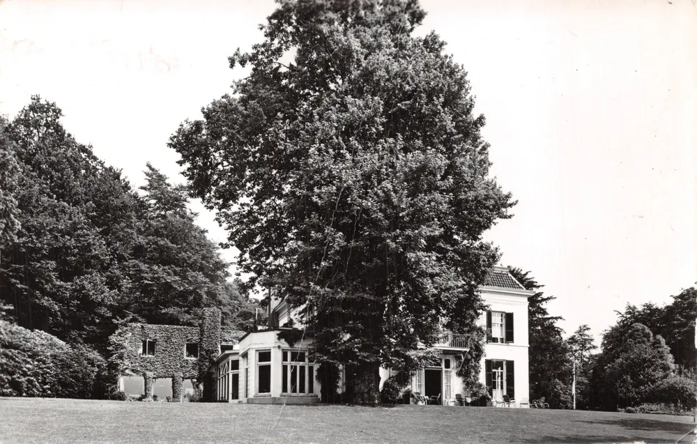 Villa 'De Pietersberg' — Gesamtansicht mit großem Baum — Verlag Train, Nr. 421769 - Vorderseite