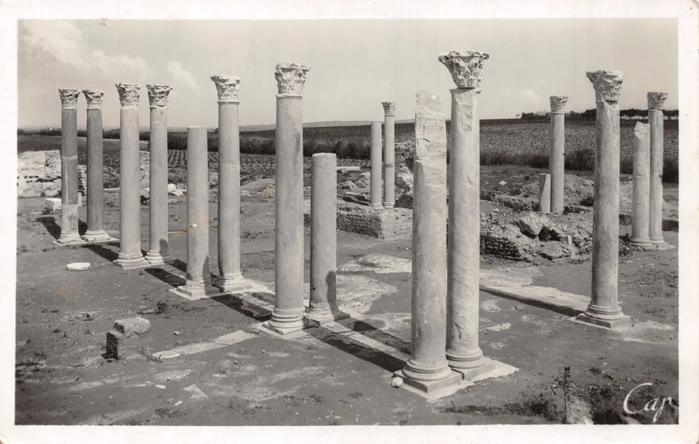 Die Säulen (Ruinen hinter dem Carmel) — Carthage — Sonderausgabe des Lavigerie-Museums - Vorderseite