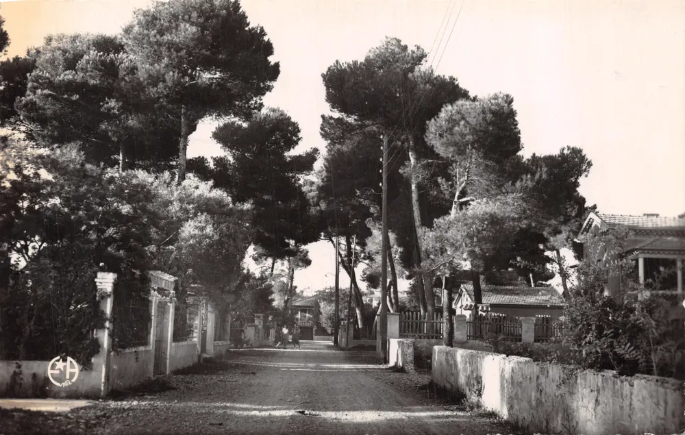 Cros-de-Cagnes — Die Pinewoods — Étoile d'Azur Ausgabe n°233 - Vorderseite