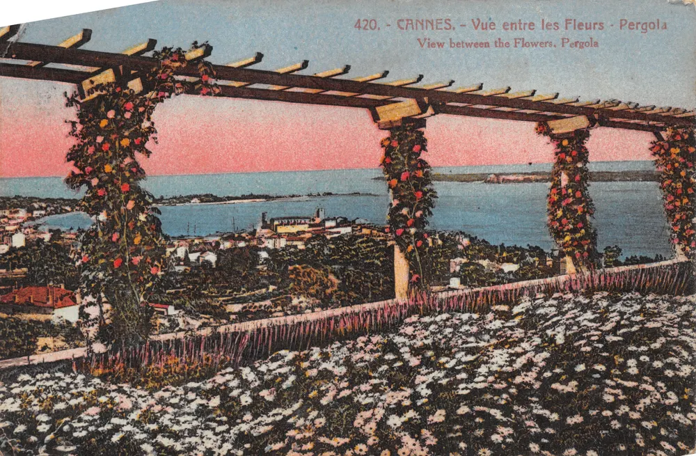 CANNES - Ansicht zwischen den Blumen - Pergola - Edition Giletta, Nice - Vorderseite