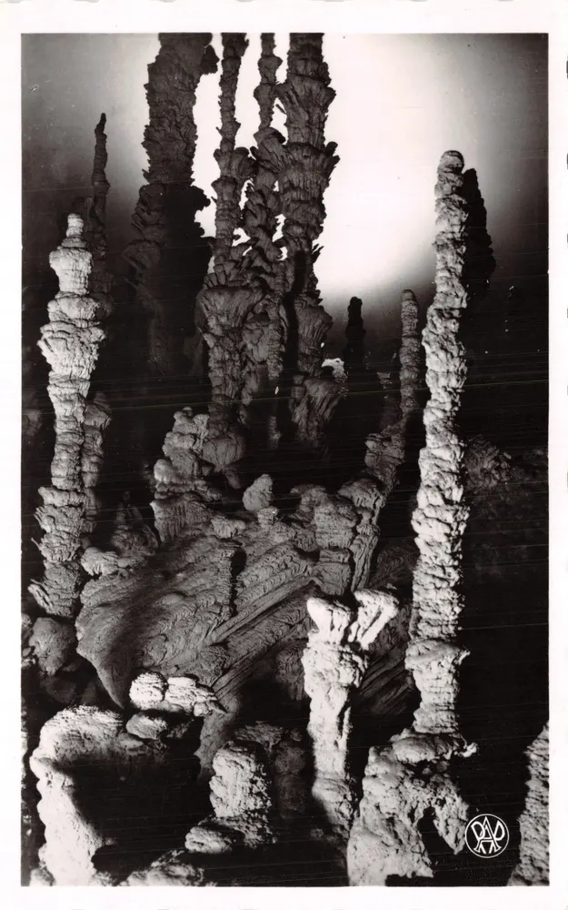 Aven d'Orgnac (Ardèche) — Stalagmitengruppe (Detail) — Foto Albert Perret - Vorderseite