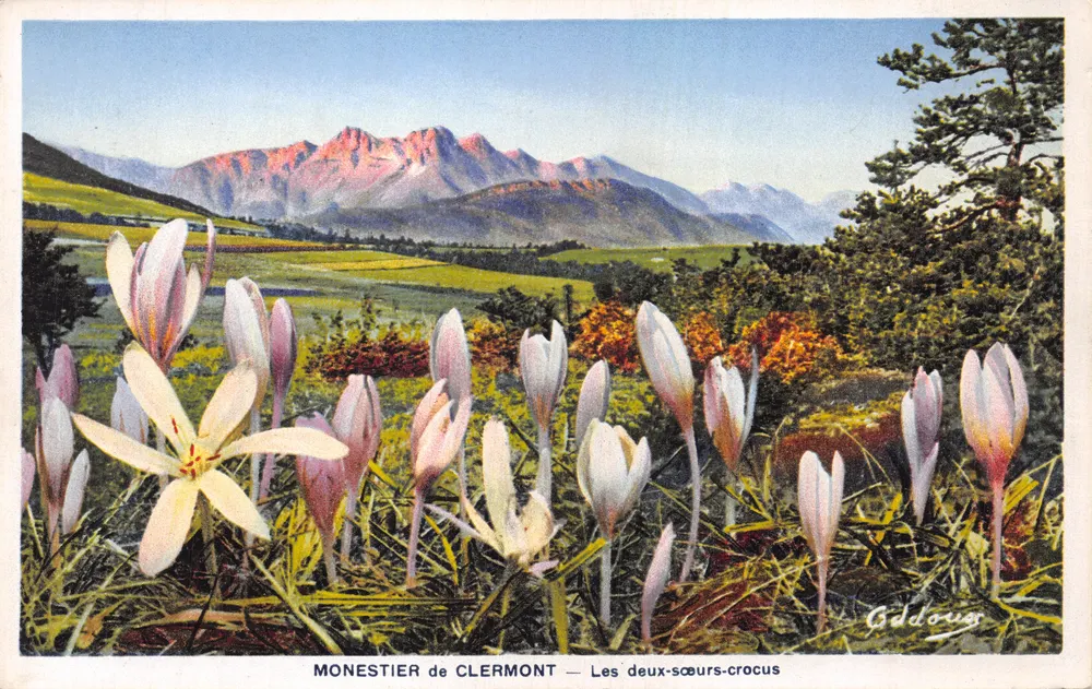 Monestier de Clermont — Le due sorelle-crocus — editore Gddouxs - Recto