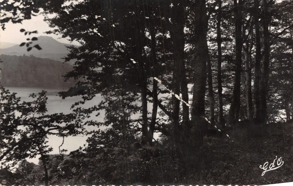 See Pavin — Ansicht von den Waldwegen — Edition G.d'O - Vorderseite