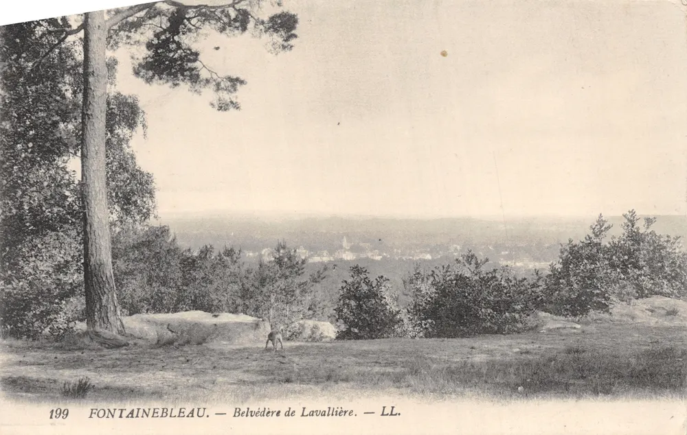 Fontainebleau — Aussichtspunkt Lavallière — LL. n° 199 - Vorderseite