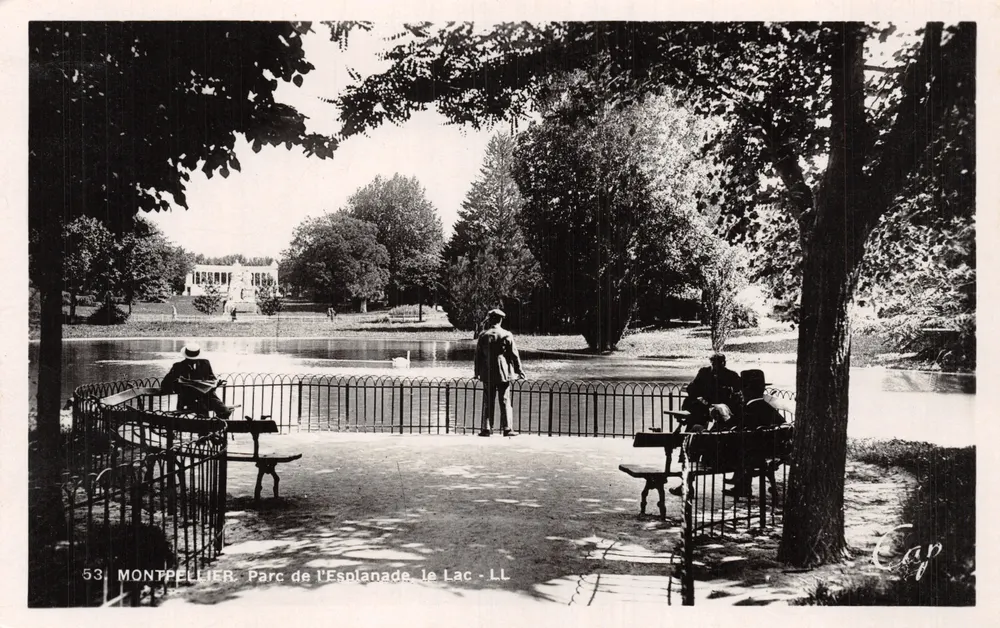Montpellier. Park der Esplanade, der See — Verlag Cap - LL, Nr. 53 - Vorderseite