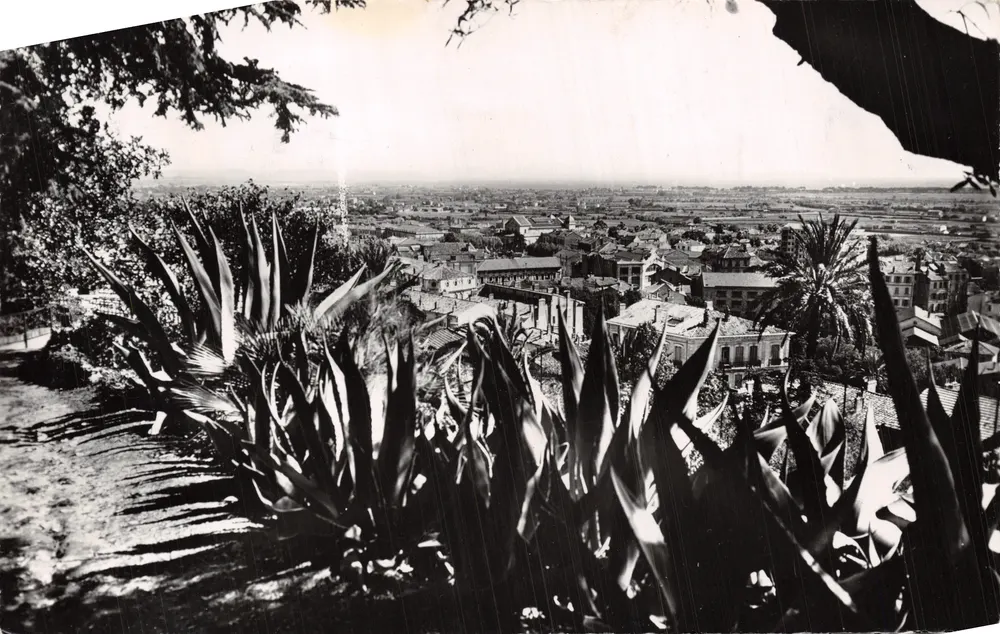 Vue générale — Hyères-les-Palmiers — éditeur SOIS PRUDENT - Recto