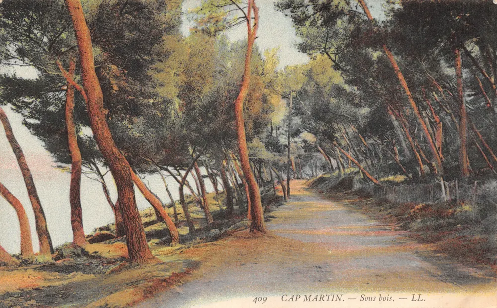 Cap Martin — Floresta — LL. — Editor LL. n.º 409 - Frente