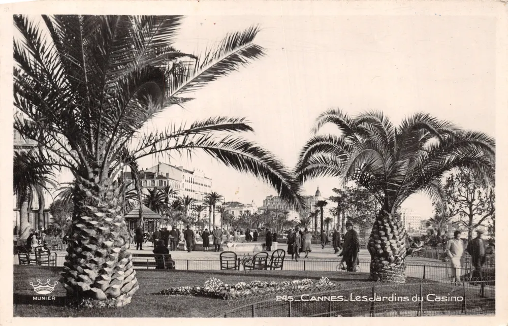Cannes — Gärten des Casinos — Verlag MUNIER, Nr. 245 - Vorderseite