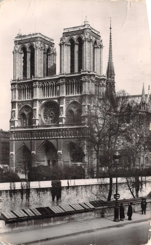 Notre-Dame de Paris — façade et roseau — Édition Superluxe - Paris - Recto