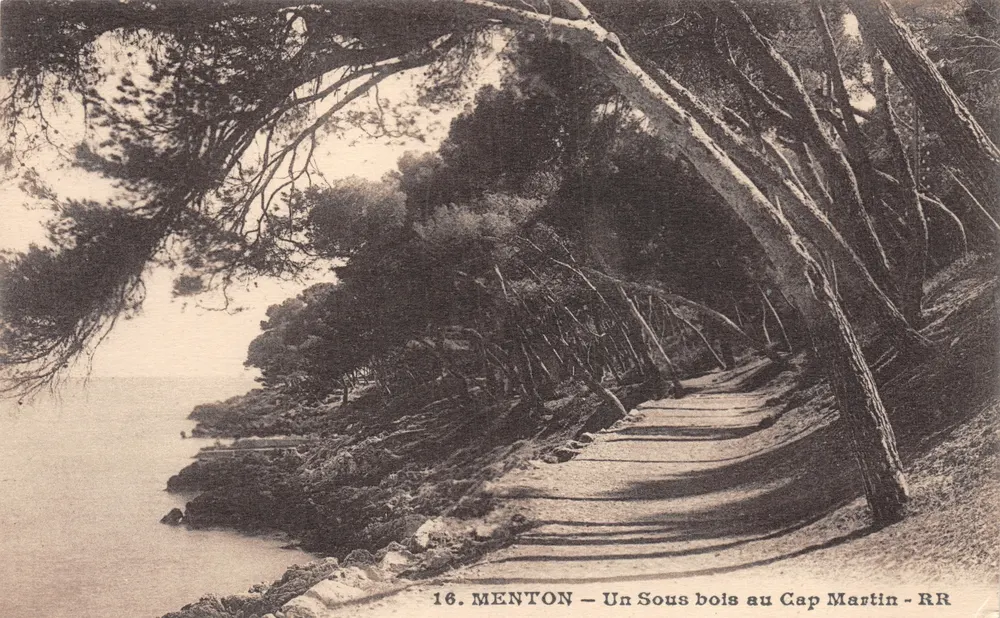 Menton — Um pequeno bosque no Cap Martin — RR - Frente