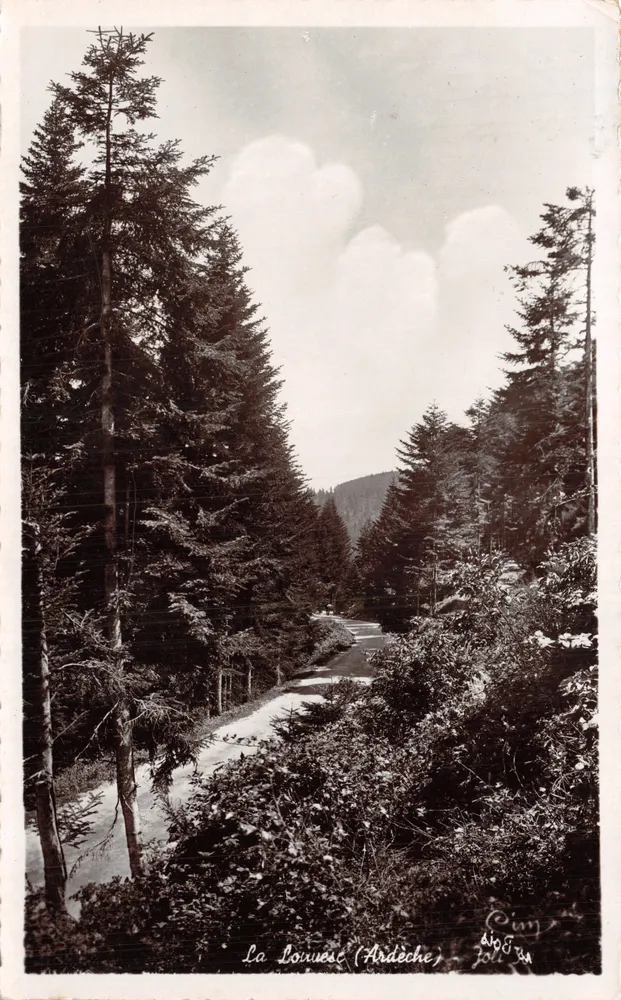 La Bouruèsc (Ardèche) — Ansicht der Straße durch den Wald — Verlag Combier, Nr. 108 - Vorderseite