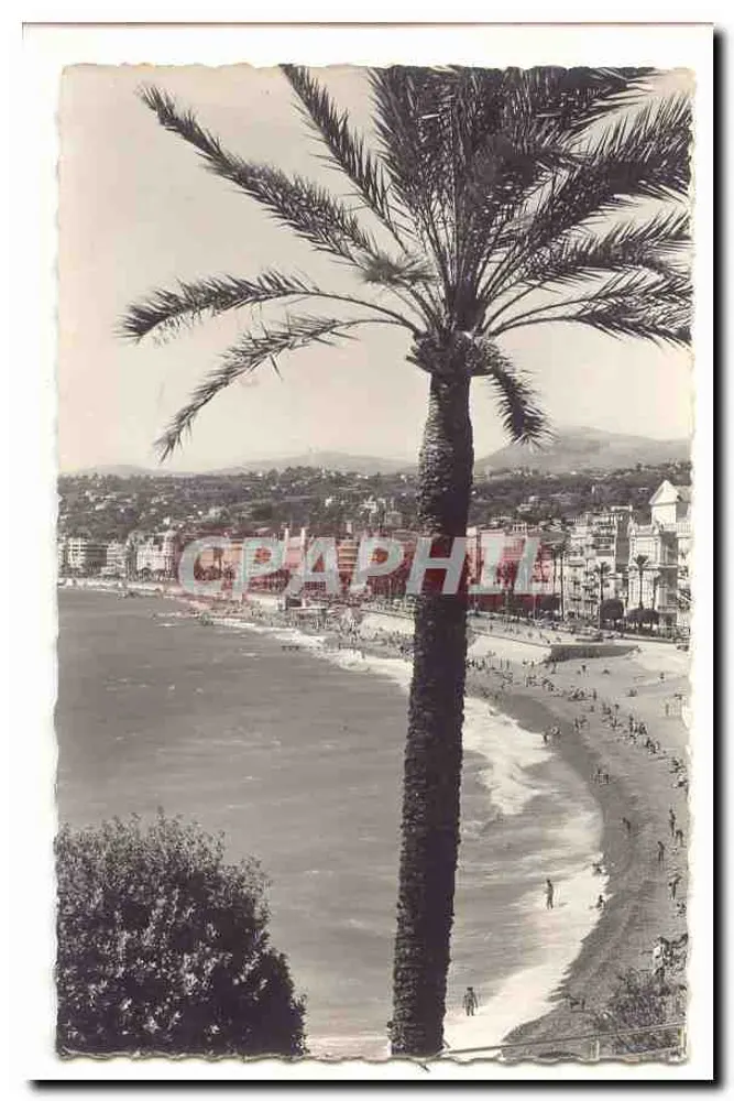 Cannes Beach — Ansicht von einem Palmenbaum — Verlag Graphi - Vorderseite
