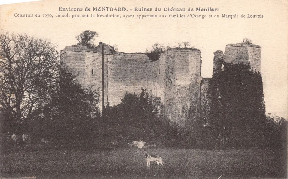Umgebung von MONTBARD — Ruinen des Schlosses Montfort — Verleger IMPRIMÉ : C. L. B., Beançon - Vorderseite