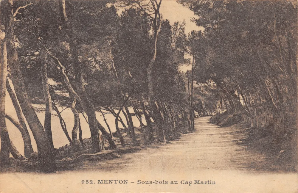 Menton — Nadelwald am Cap Martin — Verlag Giletta, Nr. 952 - Vorderseite
