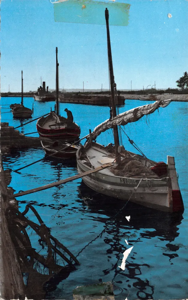 Port-La-Nouvelle — Fischboote am Kai — Editions S.E.P.T. N°105-19 - Vorderseite